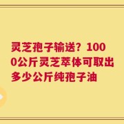 灵芝孢子输送？1000公斤灵芝萃体可取出多少公斤纯孢子油