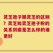 灵芝孢子跟灵芝的区别？灵芝和灵芝孢子粉的关系到底是怎么样的谁更好