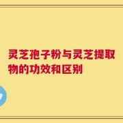 灵芝孢子粉与灵芝提取物的功效和区别