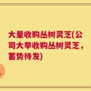 大量收购丛树灵芝(公司大举收购丛树灵芝，蓄势待发)