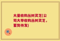 大量收购丛树灵芝(公司大举收购丛树灵芝，蓄势待发)