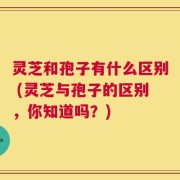 灵芝和孢子有什么区别 (灵芝与孢子的区别，你知道吗？)