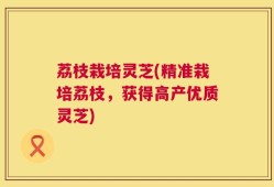 荔枝栽培灵芝(精准栽培荔枝，获得高产优质灵芝)