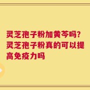 灵芝孢子粉加黄芩吗？灵芝孢子粉真的可以提高免疫力吗
