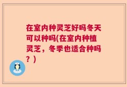 在室内种灵芝好吗冬天可以种吗(在室内种植灵芝，冬季也适合种吗？)