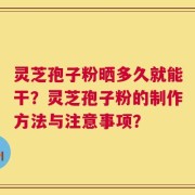 灵芝孢子粉晒多久就能干？灵芝孢子粉的制作方法与注意事项？