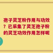 孢子灵芝粉作用与功效？已采集了灵芝孢子粉的灵芝功效作用怎样呢