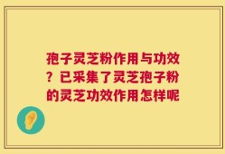 孢子灵芝粉作用与功效？已采集了灵芝孢子粉的灵芝功效作用怎样呢