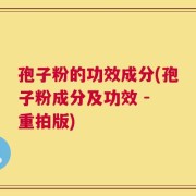 孢子粉的功效成分(孢子粉成分及功效 - 重拍版)