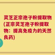 灵芝正宗孢子粉提取物(正宗灵芝孢子粉提取物：提高免疫力的天然良药)