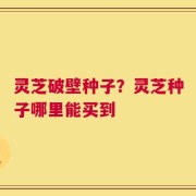 灵芝破壁种子？灵芝种子哪里能买到