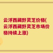 云浮西藏野灵芝价格(云浮西藏野灵芝市场价格持续上涨)