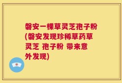 磐安一棵草灵芝孢子粉(磐安发现珍稀草药草灵芝 孢子粉 带来意外发现)