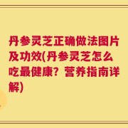 丹参灵芝正确做法图片及功效(丹参灵芝怎么吃最健康？营养指南详解)