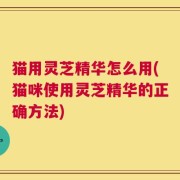 猫用灵芝精华怎么用(猫咪使用灵芝精华的正确方法)
