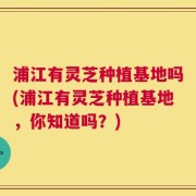 浦江有灵芝种植基地吗(浦江有灵芝种植基地，你知道吗？)