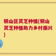 铜山区灵芝种植(铜山灵芝种植助力乡村振兴)