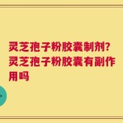 灵芝孢子粉胶囊制剂？灵芝孢子粉胶囊有副作用吗