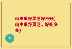 山里采野灵芝好不好(山中采野灵芝，好处多多)
