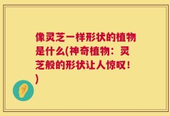 像灵芝一样形状的植物是什么(神奇植物：灵芝般的形状让人惊叹！)