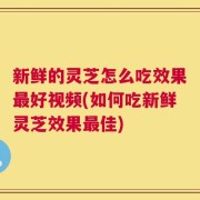 新鲜的灵芝怎么吃效果最好视频(如何吃新鲜灵芝效果最佳)