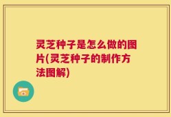 灵芝种子是怎么做的图片(灵芝种子的制作方法图解)