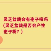灵芝盆栽会有孢子粉吗(灵芝盆栽是否会产生孢子粉？)