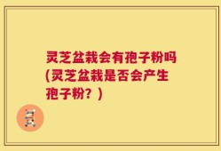 灵芝盆栽会有孢子粉吗(灵芝盆栽是否会产生孢子粉？)