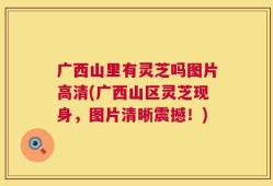 广西山里有灵芝吗图片高清(广西山区灵芝现身，图片清晰震撼！)