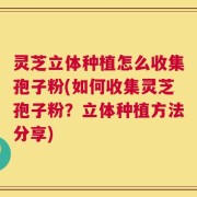 灵芝立体种植怎么收集孢子粉(如何收集灵芝孢子粉？立体种植方法分享)