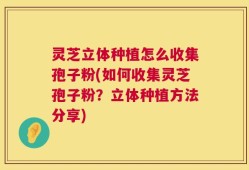 灵芝立体种植怎么收集孢子粉(如何收集灵芝孢子粉？立体种植方法分享)