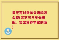 灵芝可以煲羊头汤吗怎么煲(灵芝可与羊头搭配，煲出营养丰富的汤)