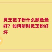 灵芝孢子粉什么颜色最好？如何辨别灵芝粉好坏