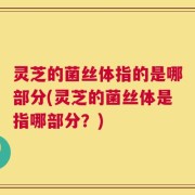 灵芝的菌丝体指的是哪部分(灵芝的菌丝体是指哪部分？)