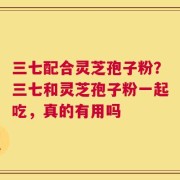 三七配合灵芝孢子粉？三七和灵芝孢子粉一起吃，真的有用吗