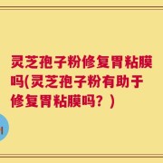 灵芝孢子粉修复胃粘膜吗(灵芝孢子粉有助于修复胃粘膜吗？)