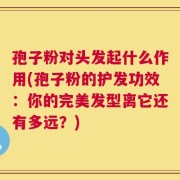 孢子粉对头发起什么作用(孢子粉的护发功效：你的完美发型离它还有多远？)