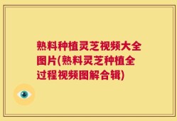 熟料种植灵芝视频大全图片(熟料灵芝种植全过程视频图解合辑)