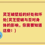 灵芝破壁后的好处和坏处(灵芝壁破与否对身体的影响，你需要知道这些！)