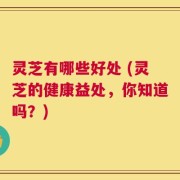 灵芝有哪些好处 (灵芝的健康益处，你知道吗？)