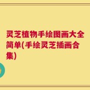 灵芝植物手绘图画大全简单(手绘灵芝插画合集)