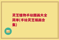 灵芝植物手绘图画大全简单(手绘灵芝插画合集)