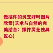 做摆件的灵芝好吗图片欣赏(艺术与自然的完美结合：摆件灵芝独具匠心)