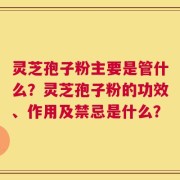灵芝孢子粉主要是管什么？灵芝孢子粉的功效、作用及禁忌是什么？