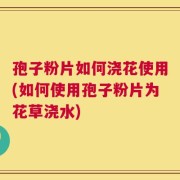 孢子粉片如何浇花使用(如何使用孢子粉片为花草浇水)