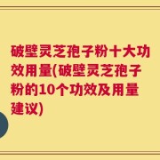 破壁灵芝孢子粉十大功效用量(破壁灵芝孢子粉的10个功效及用量建议)