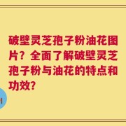 破壁灵芝孢子粉油花图片？全面了解破壁灵芝孢子粉与油花的特点和功效？
