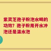紫灵芝孢子粉泡水喝的功效？孢子粉用开水冲泡还是温水泡