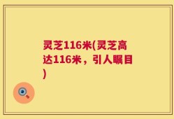 灵芝116米(灵芝高达116米，引人瞩目)