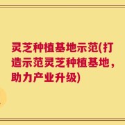 灵芝种植基地示范(打造示范灵芝种植基地，助力产业升级)